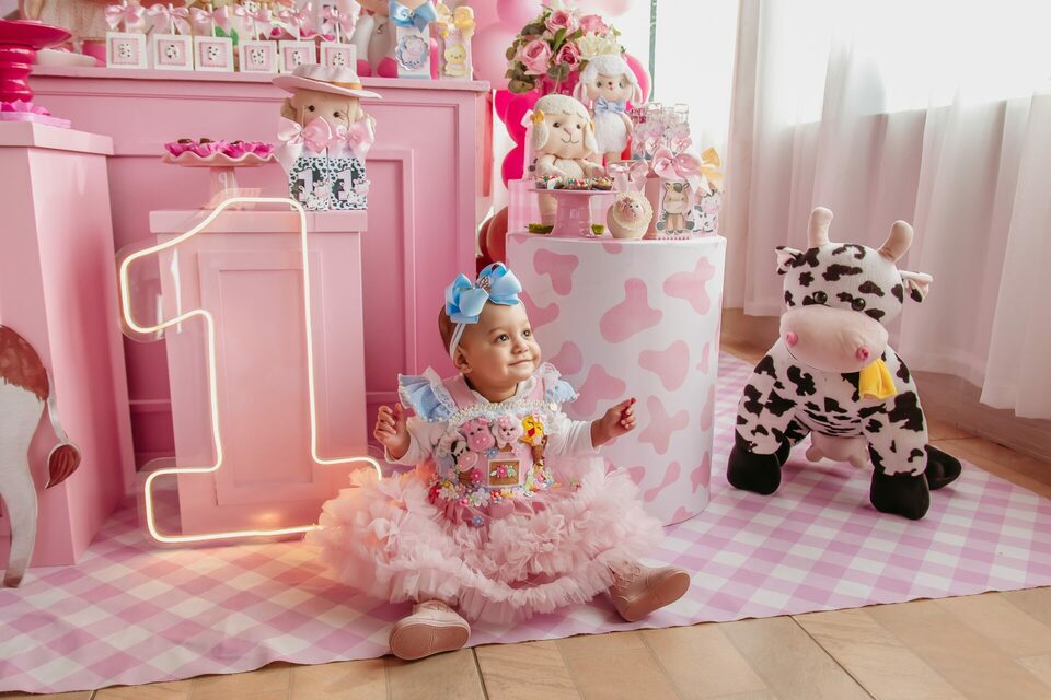 Sophia - Festa de 1 Ano no Salão de Festas Nane em São José, SC